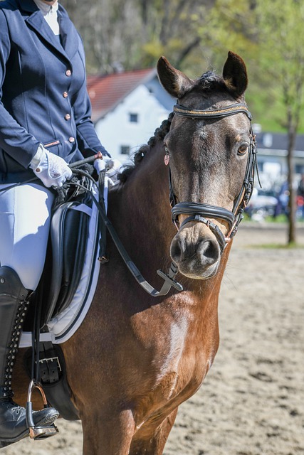 更感受到团 更感受到团