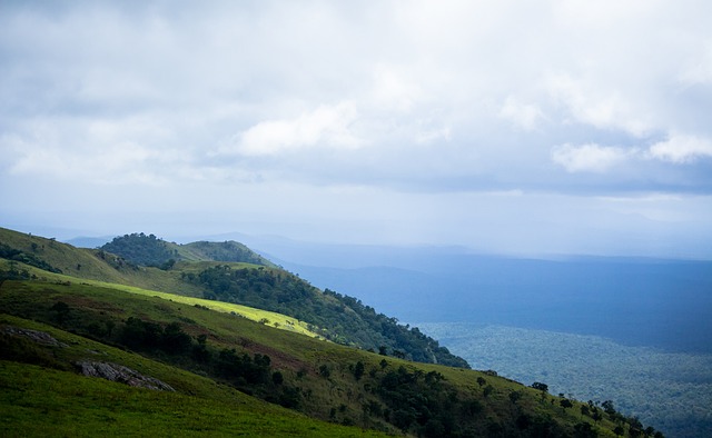 健表現不僅 健表現不僅