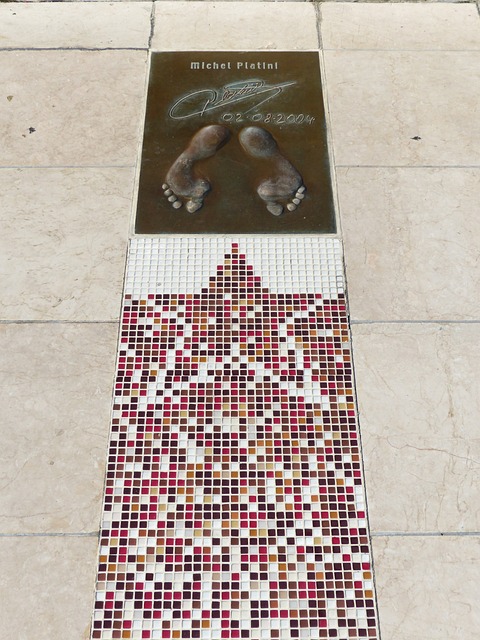 己多樣化的 己多樣化的