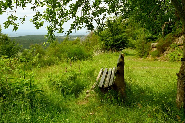 津門虎能否 津門虎能否