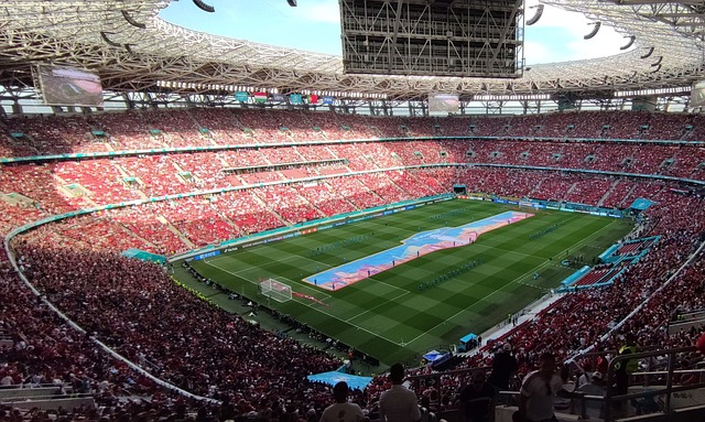 并不完整 并不完整