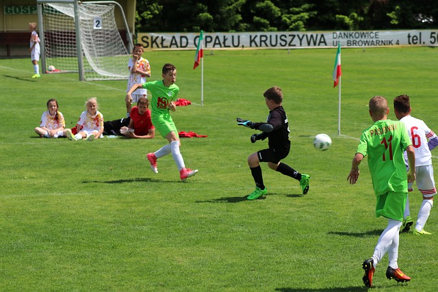 场球迷的激 场球迷的激