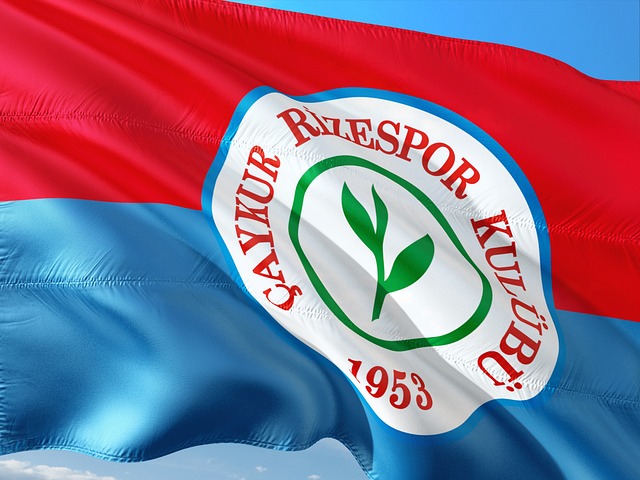 多个领域展 多个领域展