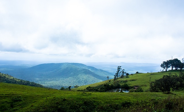 藤甲军+1!德里赫特愿意和滕哈格重聚,曼联或将重新同拜仁谈判.